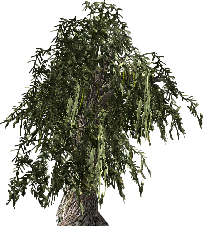 Honeymesquite-plant - Video Game (700x780), Png Download