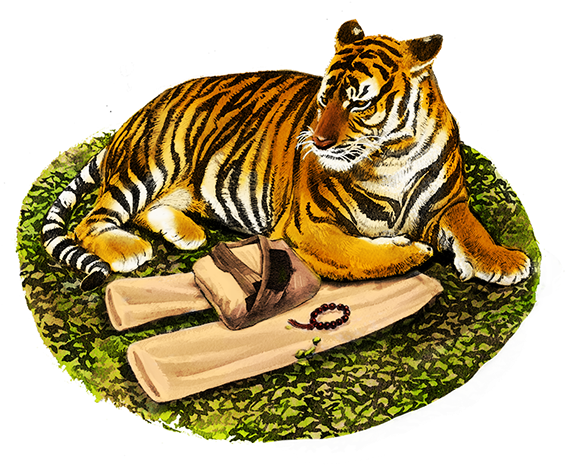 Watercolor Paper, Ink And Photoshop - Siberian Tiger (600x539), Png Download