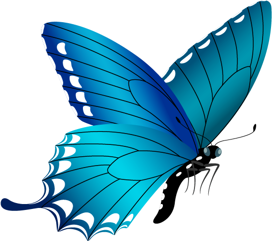 Blue Butterfly Png Image - Free Butterfly Clipart Png (592x517), Png Download