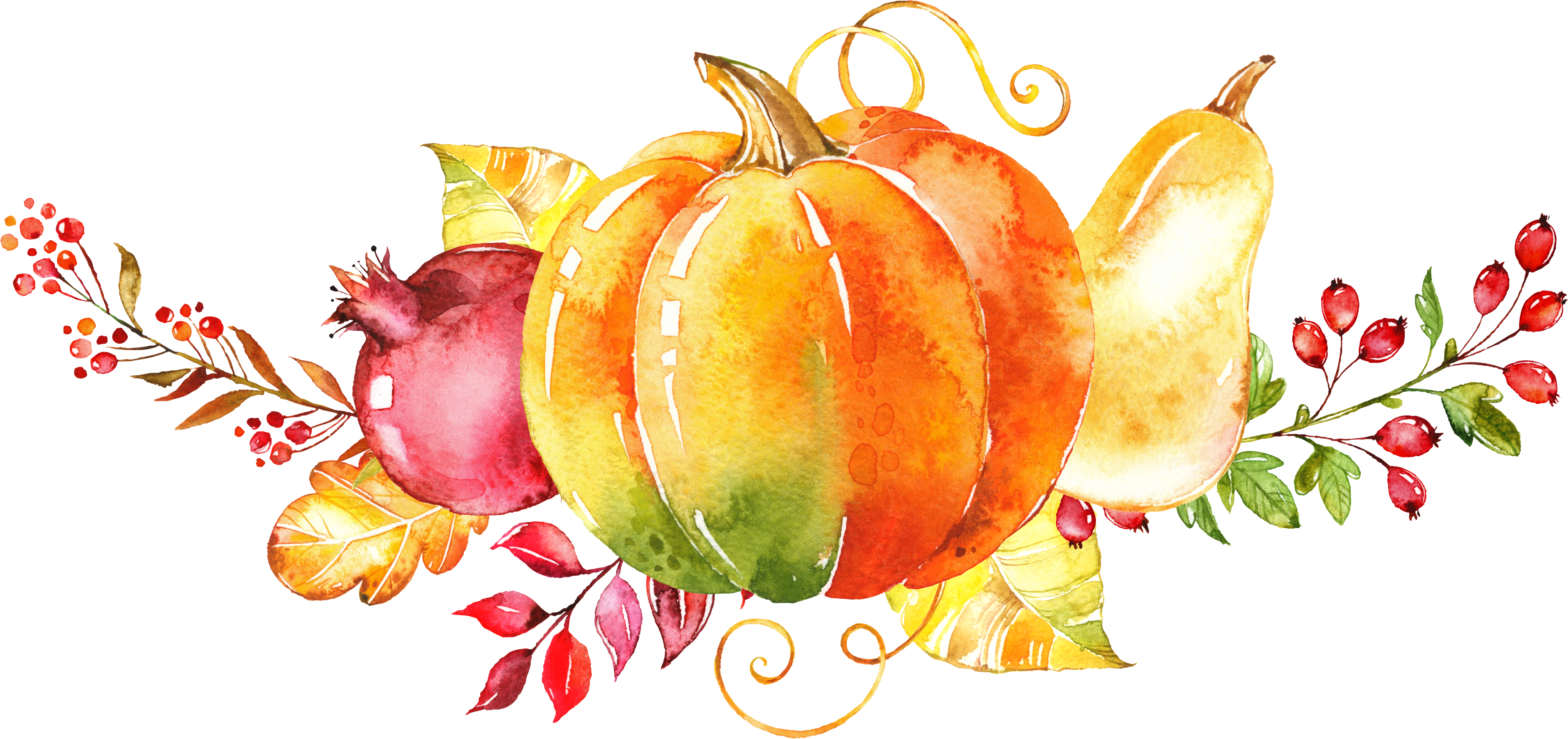 Painting Autumn Clip Art Hand Painted Vegetable (3754x1770), Png Download