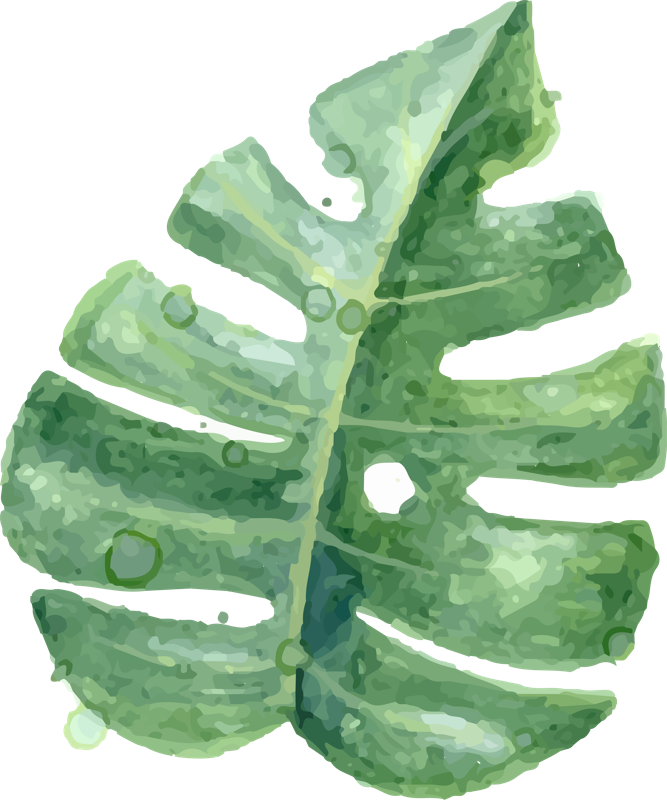 Yaprak Png (667x800), Png Download