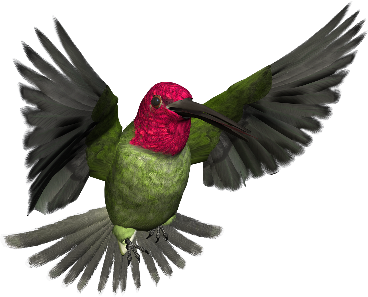 Free High Resolution Graphics And Clip Art - High Resolution Bird Art (1600x1600), Png Download