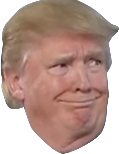 Donald Trump Png Head - Donald Trump Smirk (557x564), Png Download
