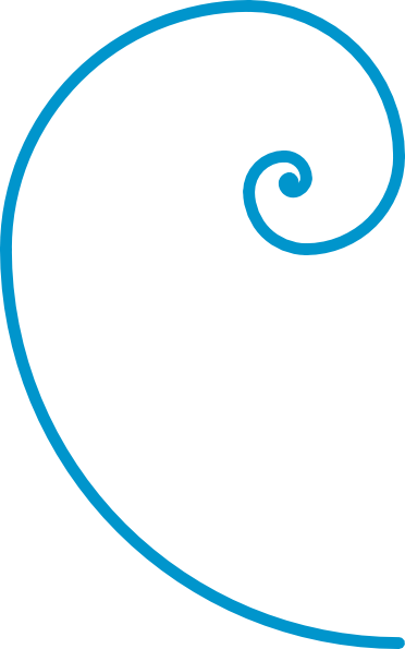 Vector Curve Ribbon Spiral - Fibonacci Spiral Clip Art (372x595), Png Download