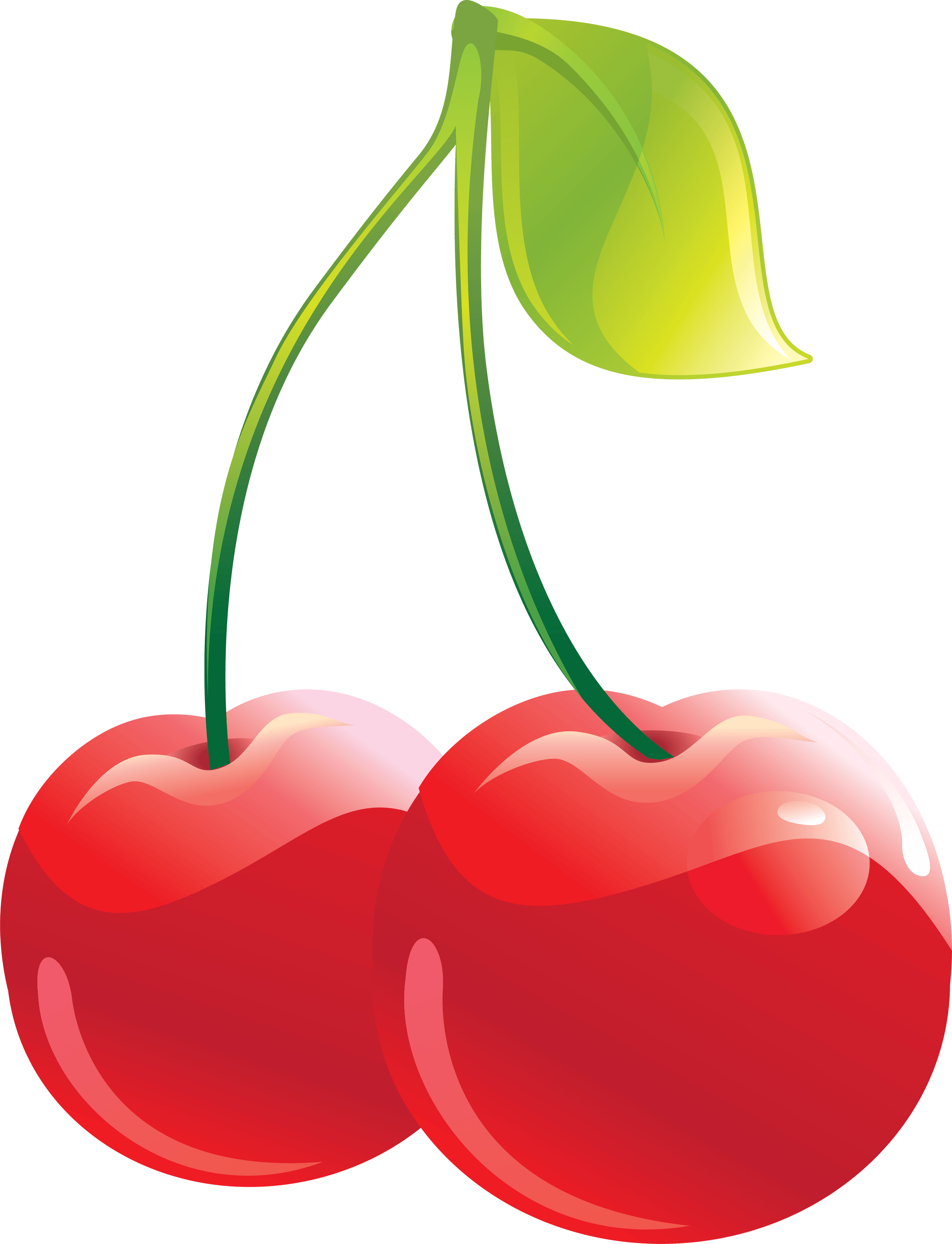 Cherry - Cherries Clipart Png (2699x3527), Png Download
