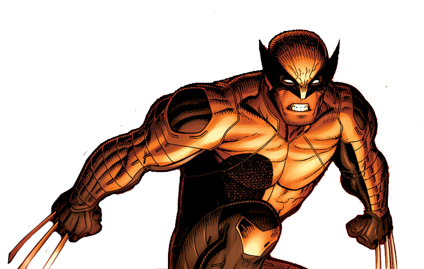 Wolverine Png (940x529), Png Download