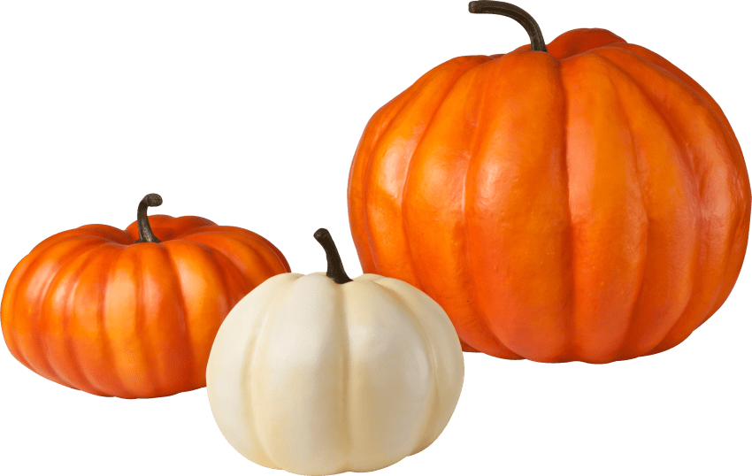 Free Png Pumpkin Png Images Transparent - Pumpkin Transparent Background (850x538), Png Download