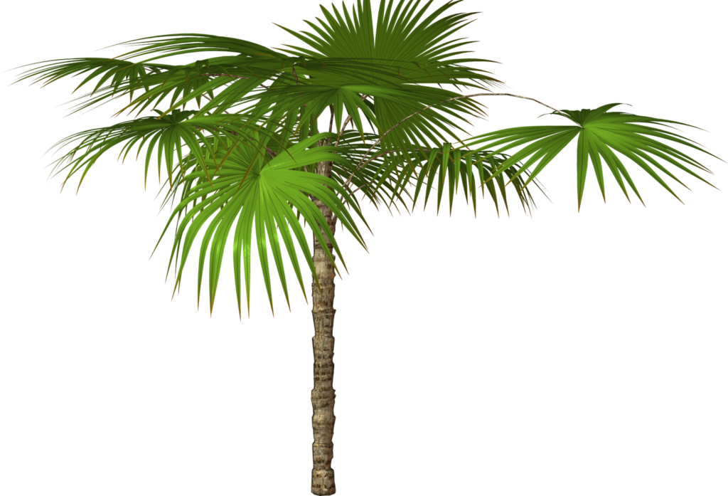 Jungle Tree Png Free Download - Пальма Ветка Пнг (1024x697), Png Download