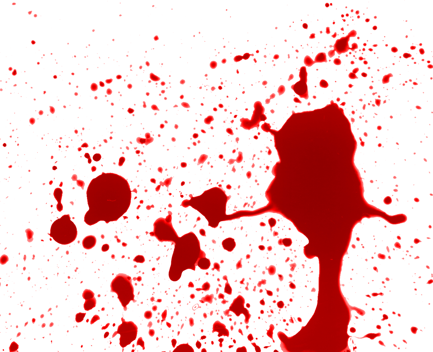 Blood Dripping Wallpaper - Red Splat Transparent (1500x1218), Png Download
