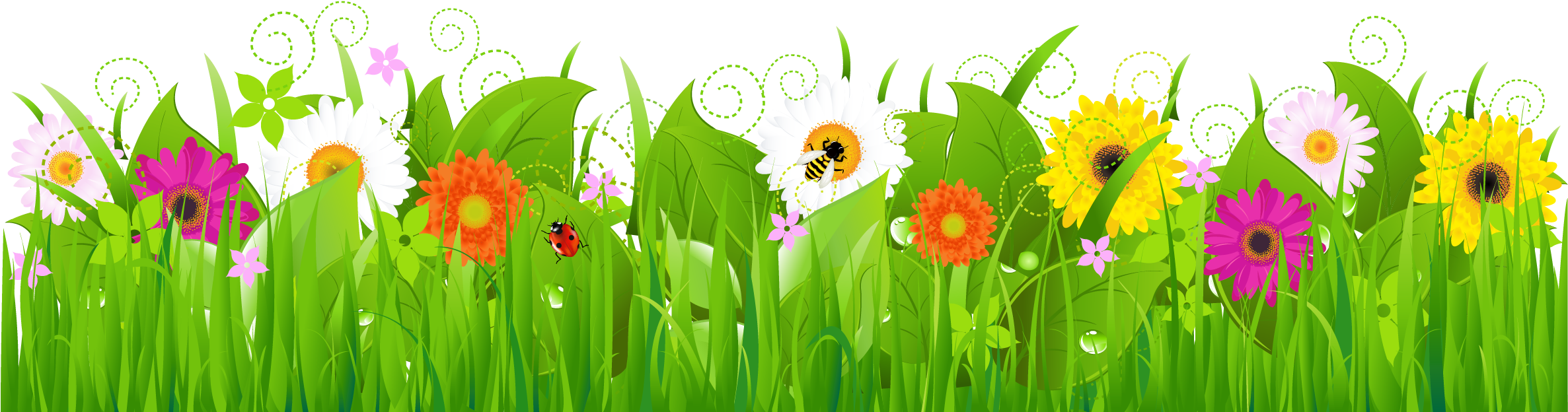 Clip Arts Related To - Grass With Flower Border (2378x669), Png Download