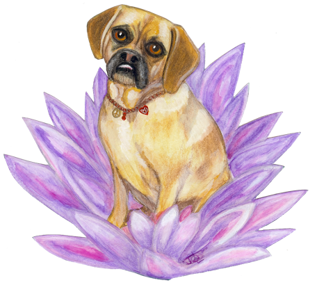 Allow Me To Create Custom “dog Tags” For You, Your - Wholesaling (446x410), Png Download