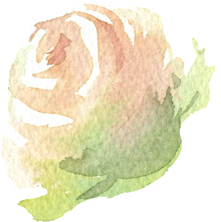 Hand Painted A Champagne Rose Png Transparent - Portable Network Graphics (1024x1024), Png Download