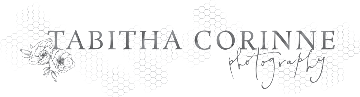 Tabitha Corinne Photography New Primary Logo Gray - Parallel (1200x323), Png Download