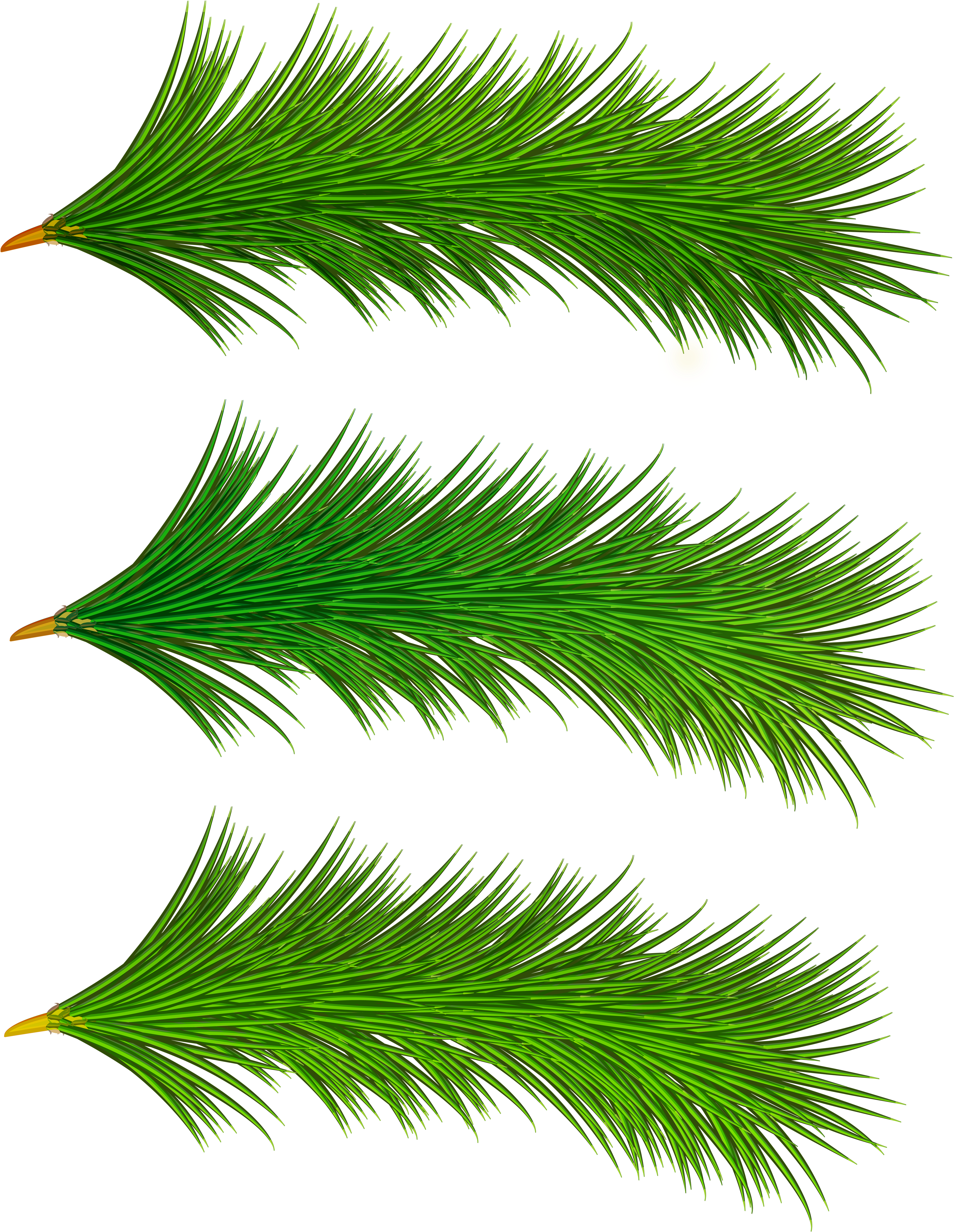 Clip Art (3106x4000), Png Download