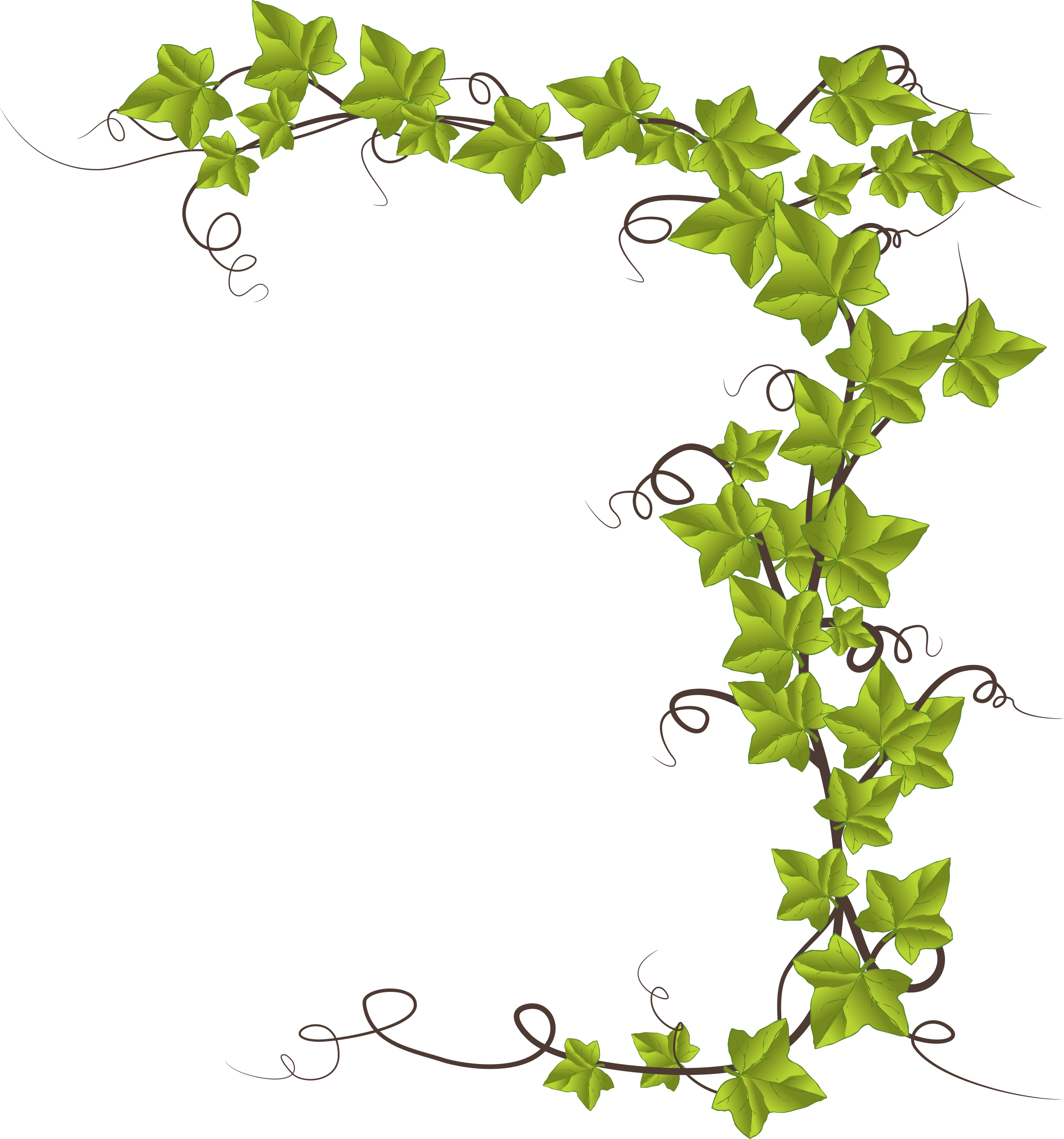 Picture Library Stock By Conte Magnus Hedera Helix - Monkeyshine Wine I Do Yoga - Just Kidding I Drink Wine (2243x2400), Png Download