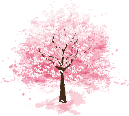 Png Sakura Tree Flower Picturesque Surroundings Png - Cherry Blossom Tree Png (529x400), Png Download