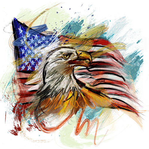 Flag Of The United States (500x500), Png Download