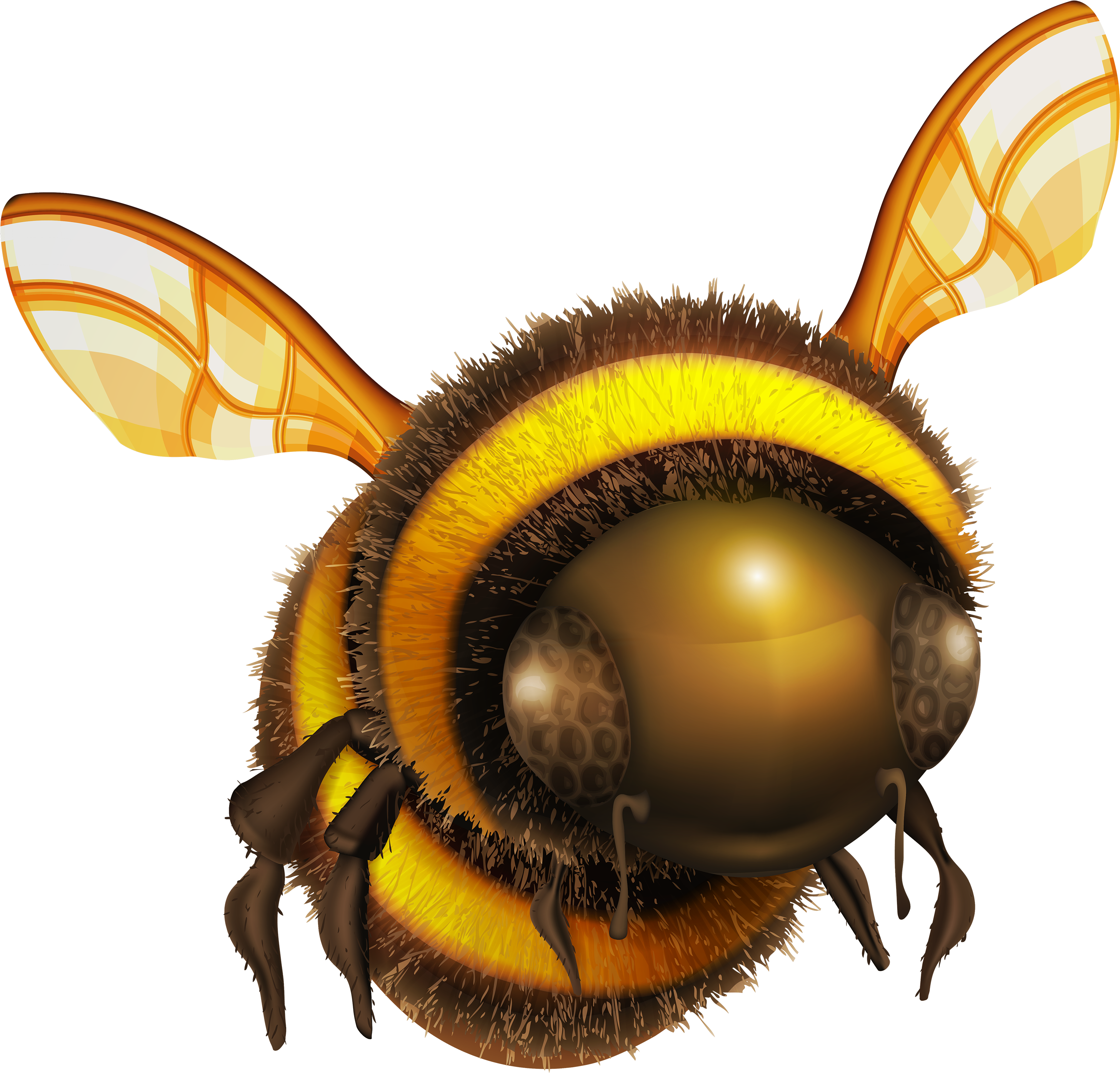 Bee Png Clip Art - Bee Png (3000x2870), Png Download