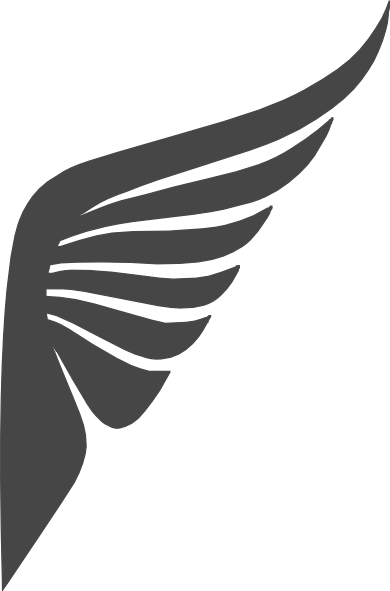 Original Png Clip Art File Wings Svg Images Downloading (390x591), Png Download