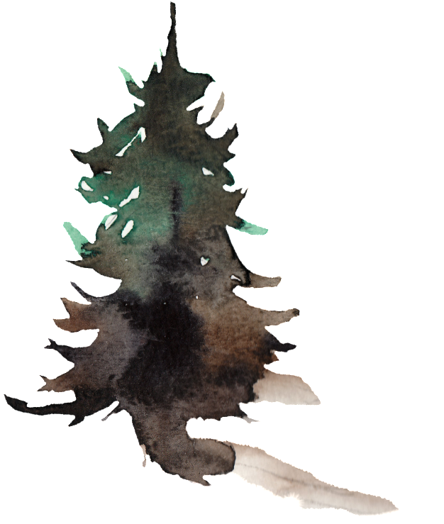 This Graphics Is Creative Pine Transparent Watercolor - Watercolor Painting (1024x1024), Png Download