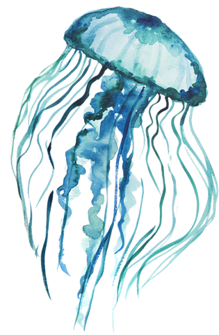 Click And Drag To Re-position The Image, If Desired - Watercolor Jellyfish (600x680), Png Download