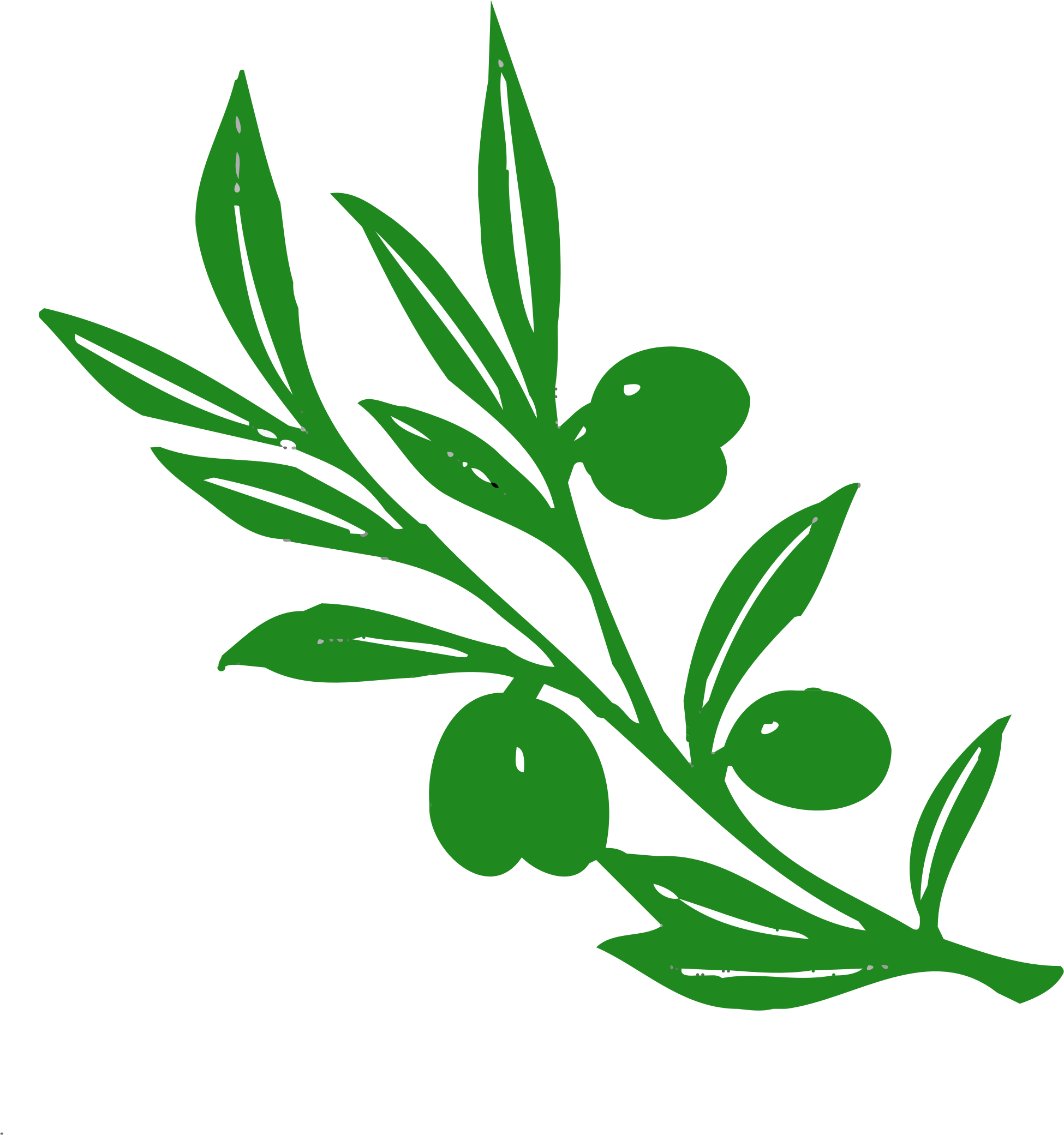 Tree Branch Things That - Olive Tree Branch (1116x1000), Png Download