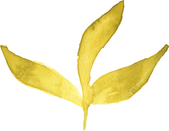 Free Download - Watercolor Yellow Leaves Png (694x539), Png Download