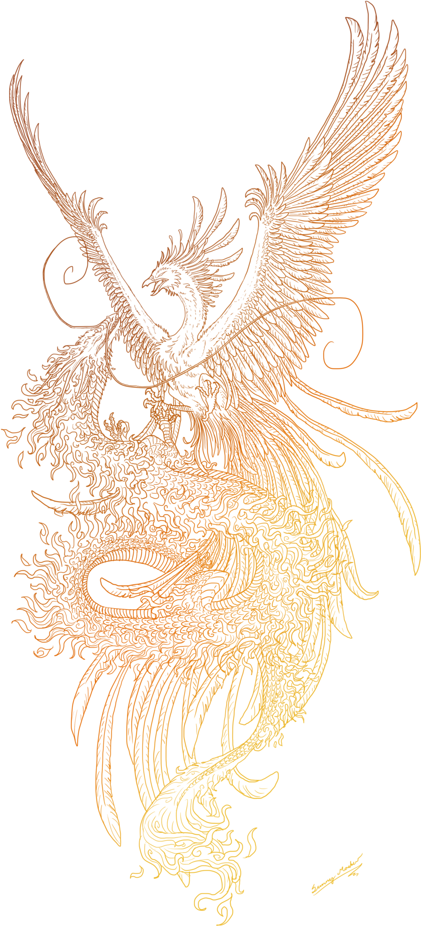 And Dragon Lineart By Sunima Deviantart Com - Drawing Phoenix (900x1943), Png Download