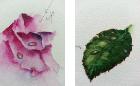 When The Drop Is Bone Dry, Mix A Small Amount Of Local - Water Droplet Flowers Png (449x278), Png Download