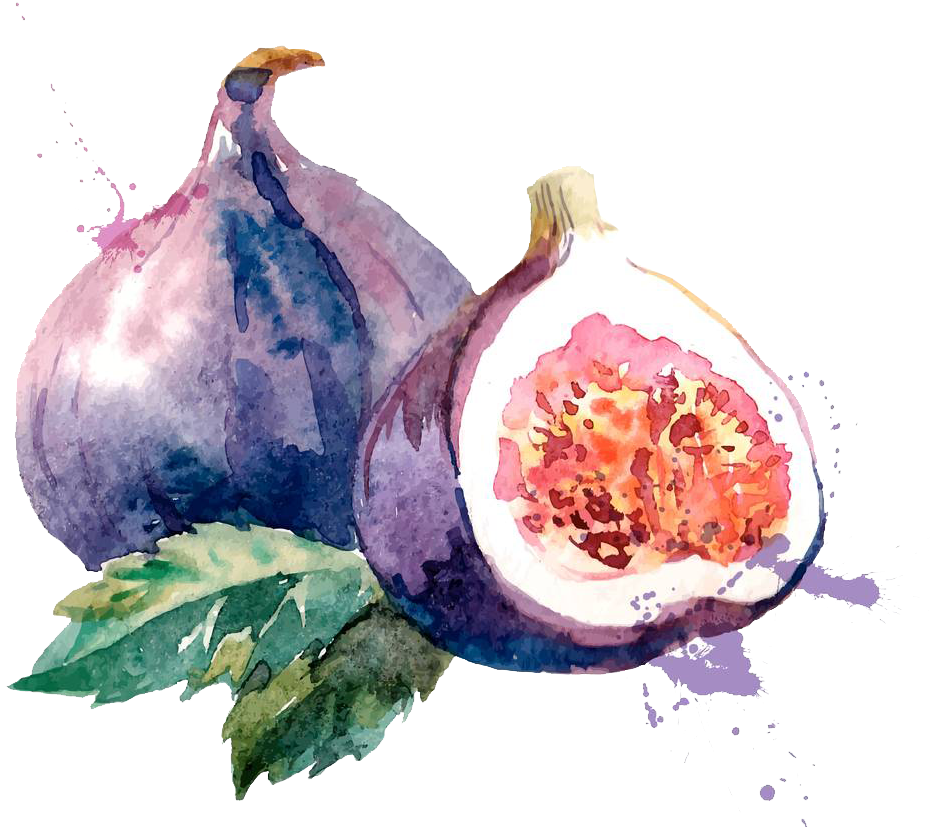 Common Fig Watercolor Painting Drawing Illustration - Fig Watercolor (971x1000), Png Download