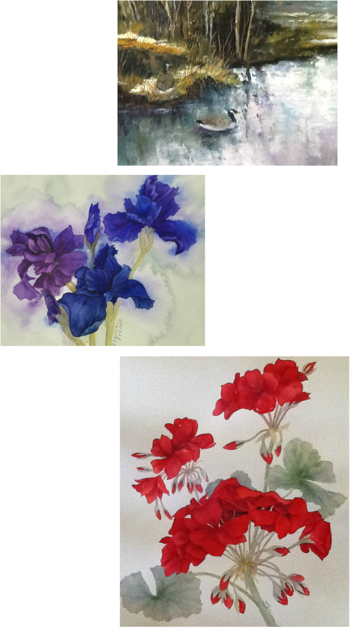 And Enjoy The Beautiful Flowers And Ponds - Bougainvillea (691x1237), Png Download