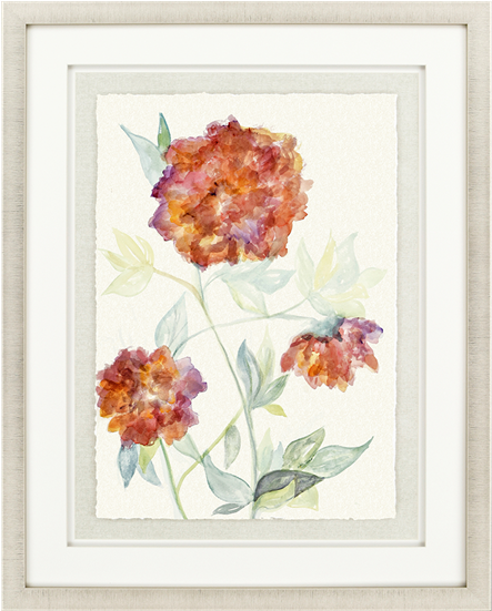 Floral Fantasy Ii - Zinnia (550x550), Png Download