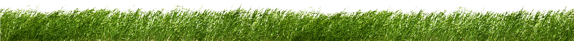 Two Very Refreshing Guys - Sweet Grass (1920x700), Png Download