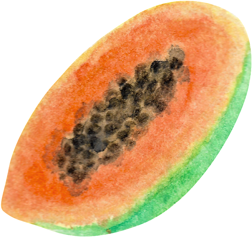 This Graphics Is Watercolor Hand Painted Half Papaytransparent - Fruit (1024x961), Png Download