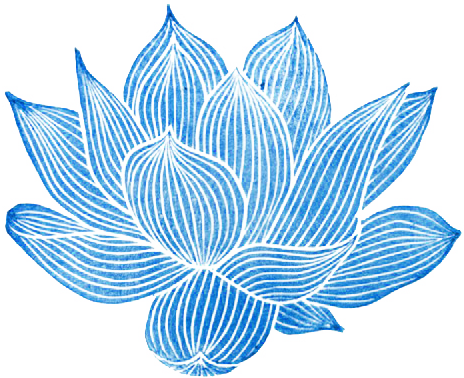 Lotus Flower Transparent (464x378), Png Download