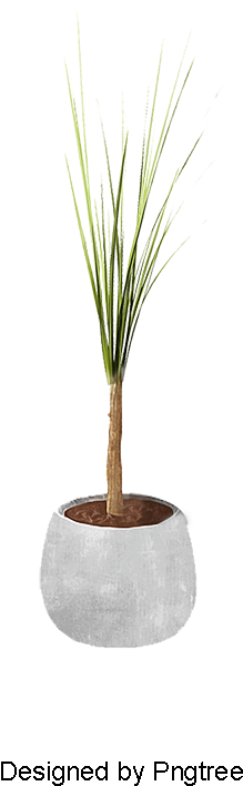 Plants, Potted, Plants, Small Potted Plants Png And - Grass (800x800), Png Download