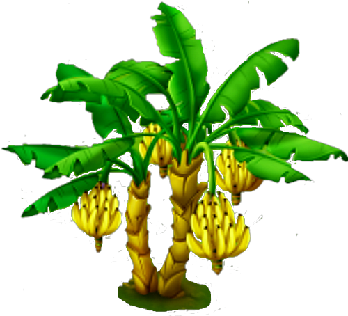Banana Tree - Name Of Plant And Their Parts That We Eat (580x523), Png Download