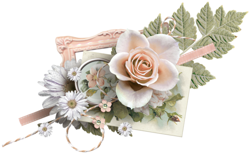 0 B91aa 8b851e6 L - Death Flower Photo Png (500x308), Png Download