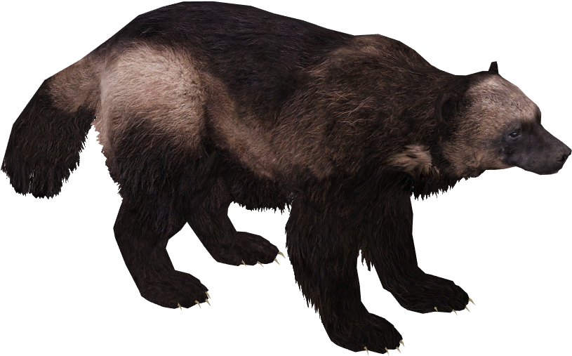 Wolverine 2 - Wolverine Zt2 (814x814), Png Download