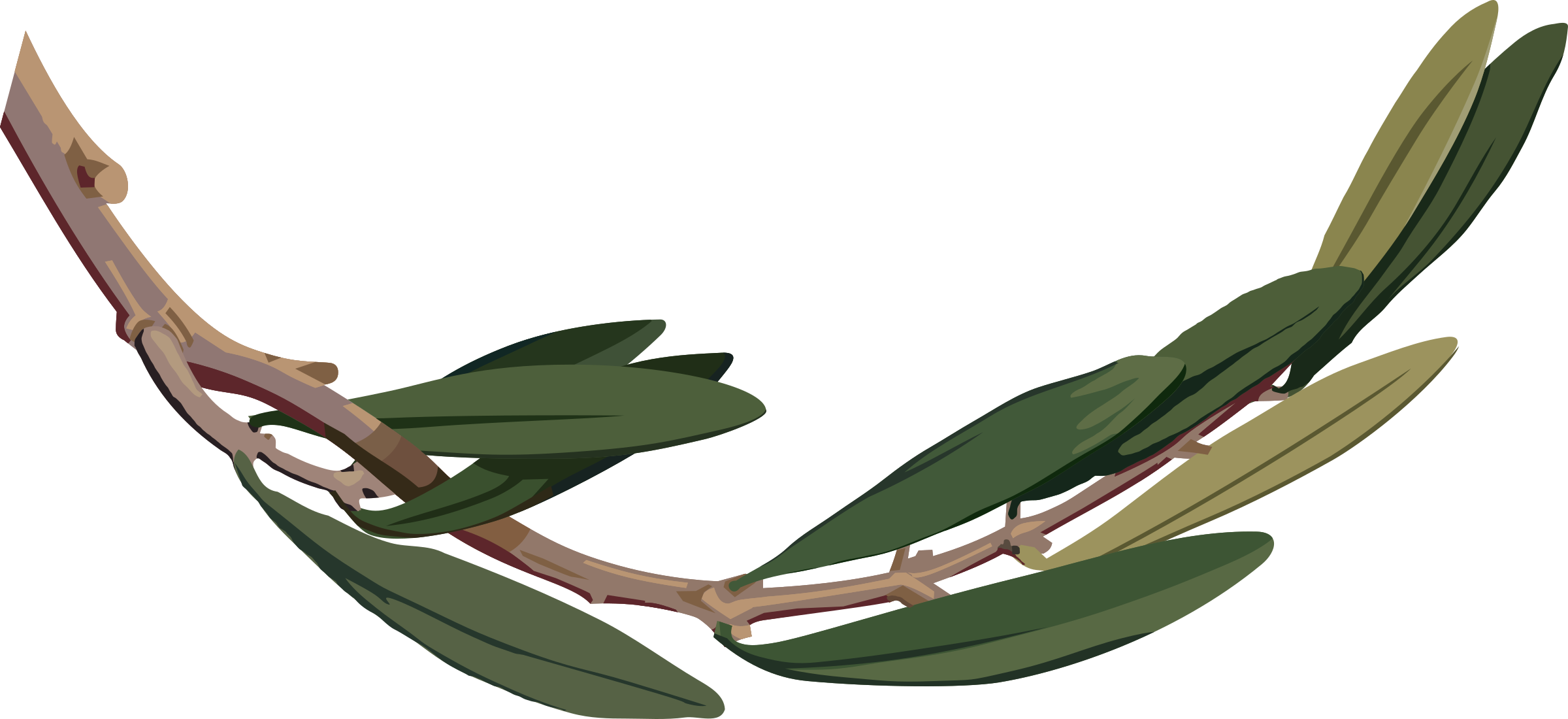 This Free Icons Png Design Of Olive Branch 2 (2400x1100), Png Download