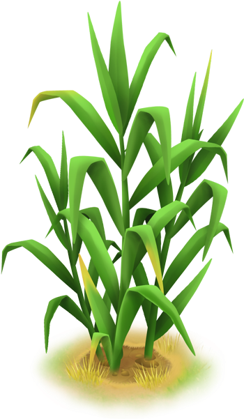 Tall Grass - Wiki (601x601), Png Download