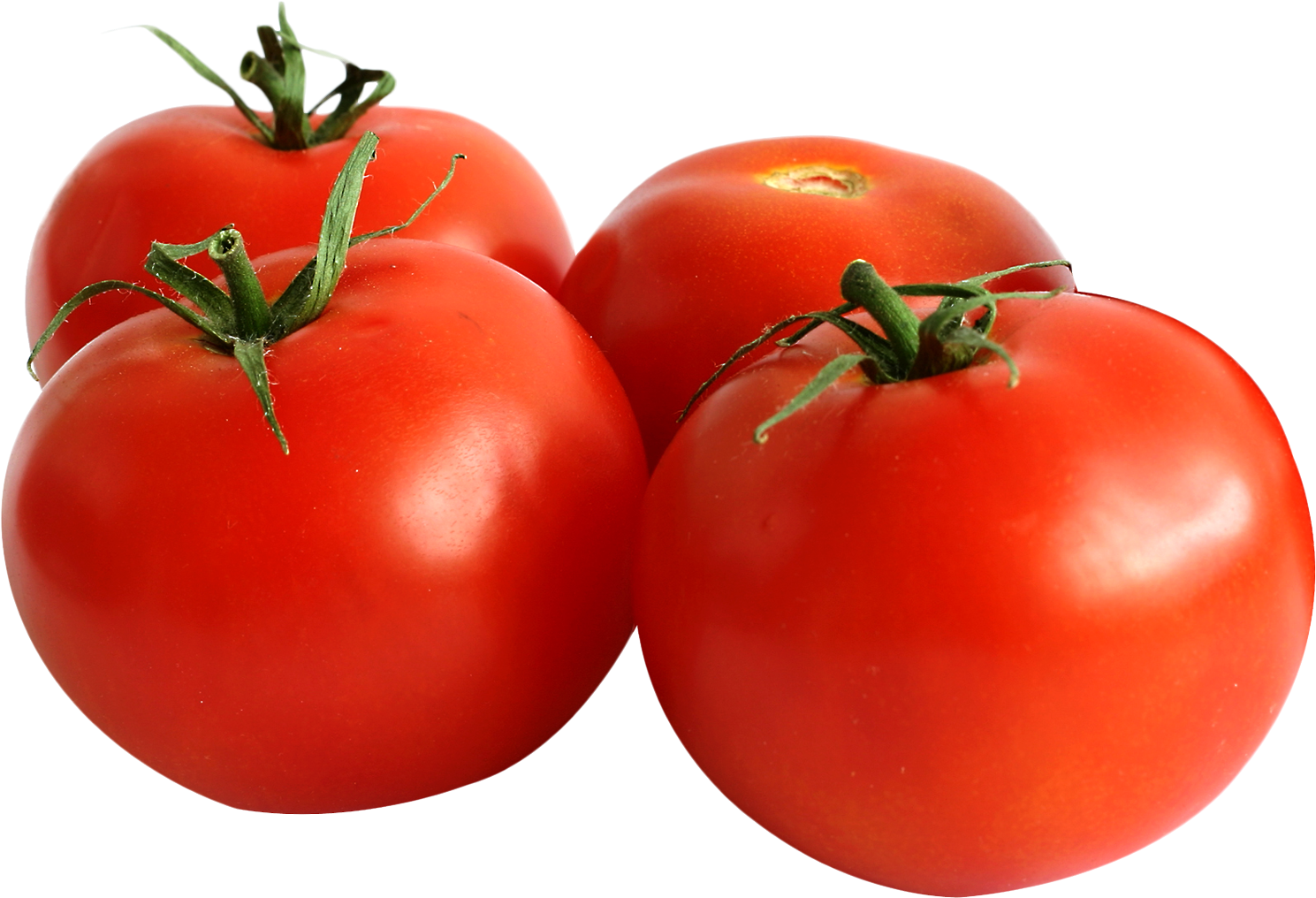 Tomato Tropic (1534x1072), Png Download