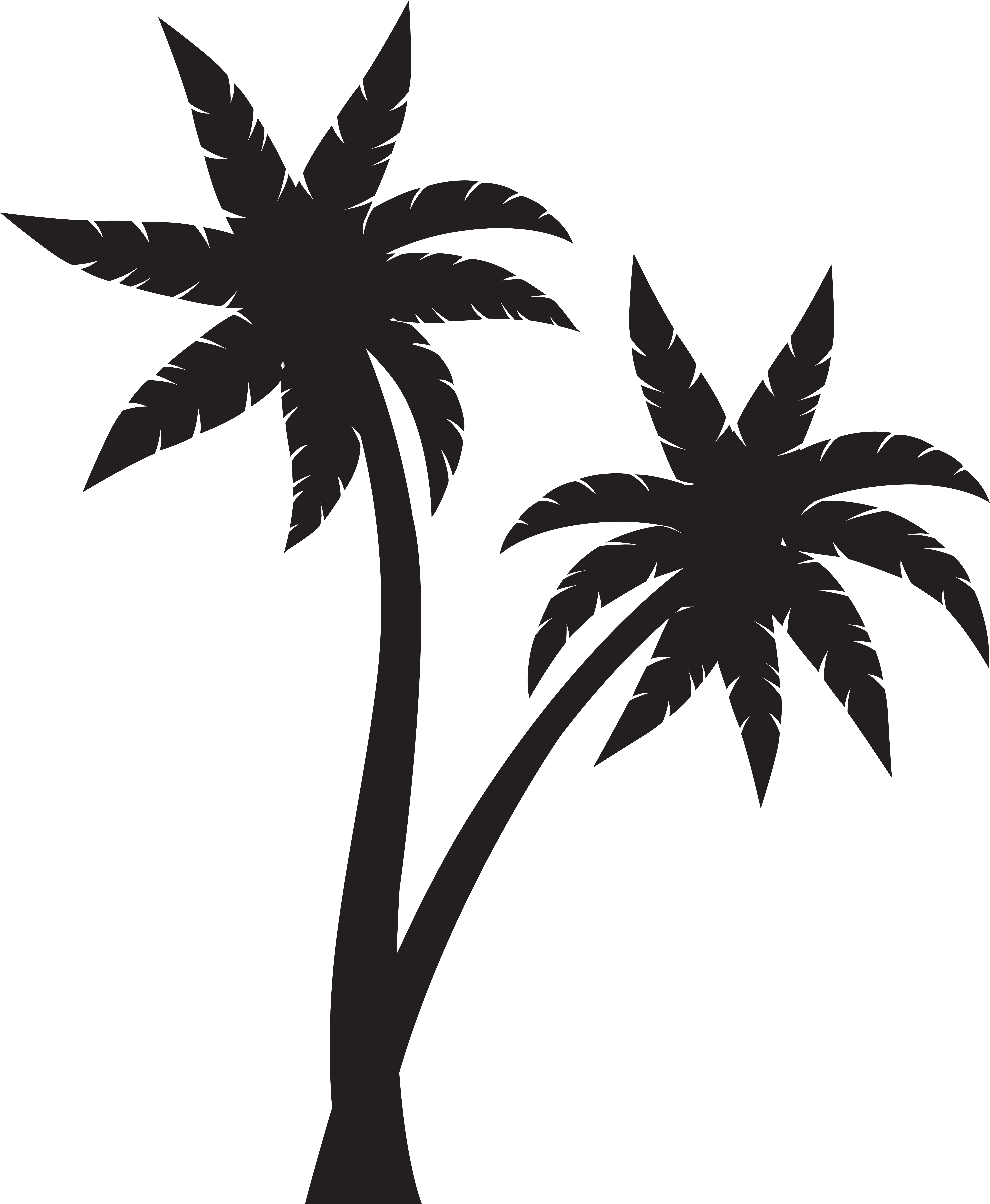 Black Palm Tree Png Download (6641x8000), Png Download