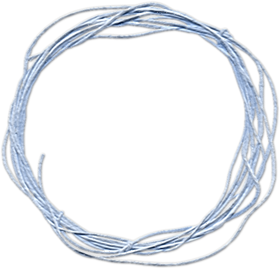 Rope - Barbed Wire (600x576), Png Download