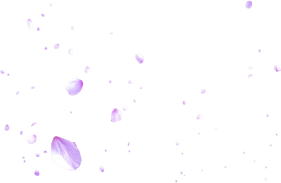 Download Falling Cherry Blossom Png Lilac Full Size Png Image Pngkit