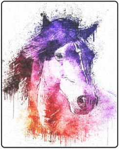 Watercolor Horse Blanket 40"x50" - Watercolor Horse Pillow Case (500x500), Png Download