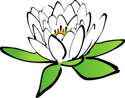 Lotus Flower Water Lily White Water Lily B - Cartoon Flower Transparent Background (432x340), Png Download