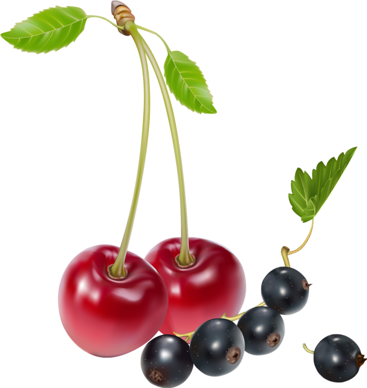 Cherry Clipart Blueberry - Fixing Hiatus Hernia: A Natural Hiatus Hernia Diet (769x814), Png Download
