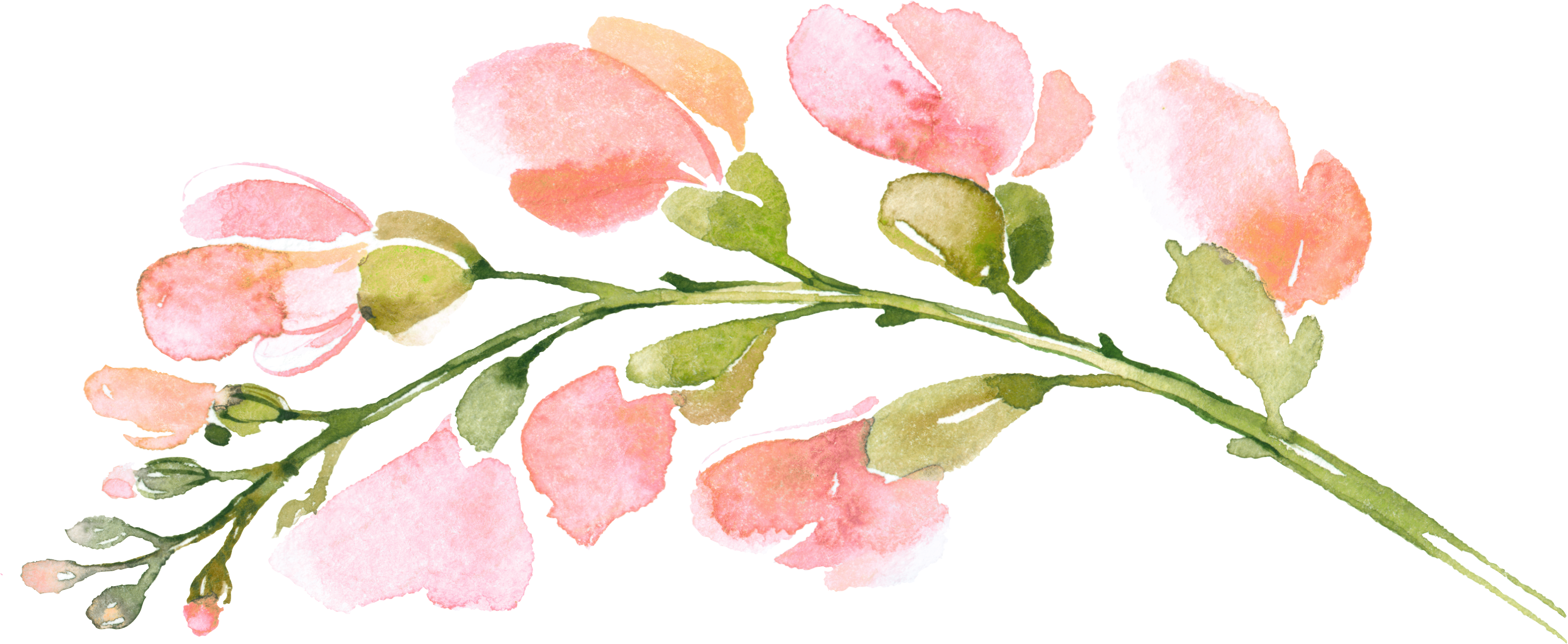 Sweetdreamselements - Pink Flower Watercolor Poster Print Wall Art Home Decor (2930x1203), Png Download