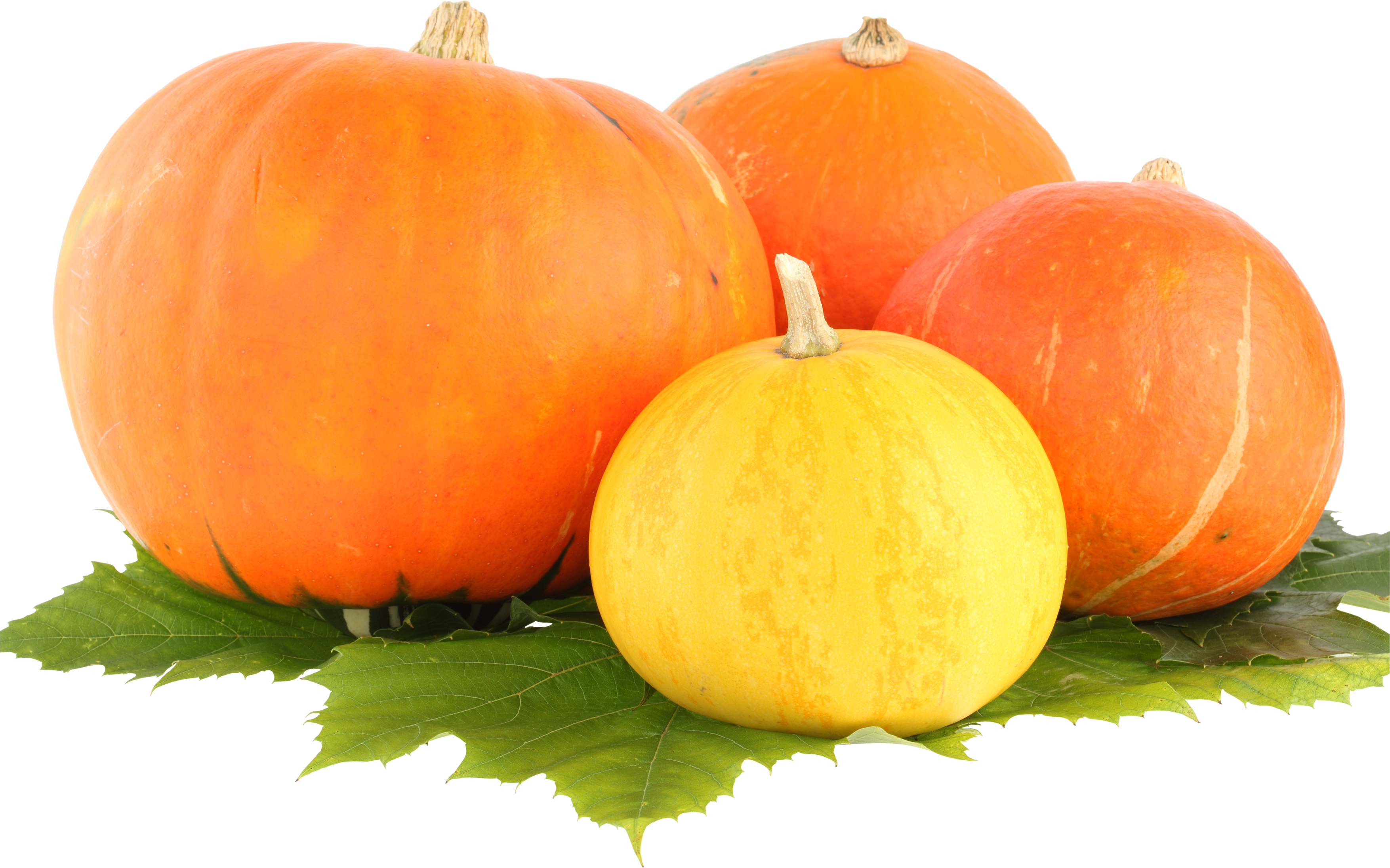 Pumpkin Png Image - Pumpkin Png (3509x2192), Png Download